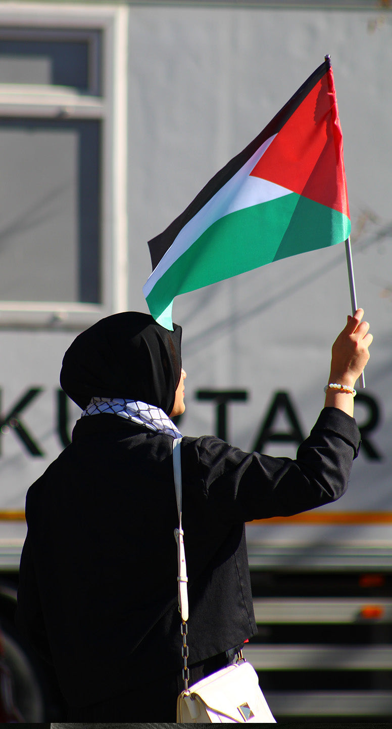 Palestine Hand Flags (Small, Medium, Large) - Amiiraa