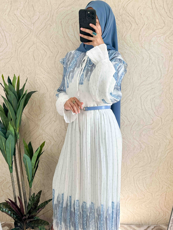 DMN Chiffon Maxi Dress - amiiraa